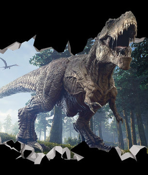 Vinilos decorativos Adhesivos infantiles de pared de dinosaurios 3D modelo 8 niño (0086)