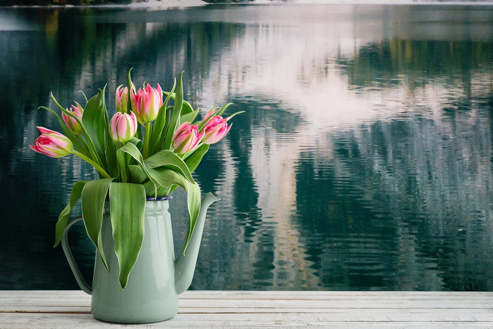 Papel para paredes Paisajes 13 lago con montañas